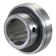 Sparex Bearing Insert (UCX09)