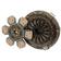Clutch Kit without Bearings
